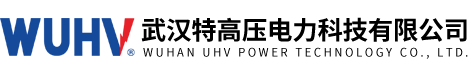 武汉特高压电力科技有限公司